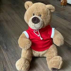 Charming Tan Teddy Bear with Red Hoodie